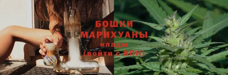 Конопля White Widow  продажа наркотиков  Камышлов 